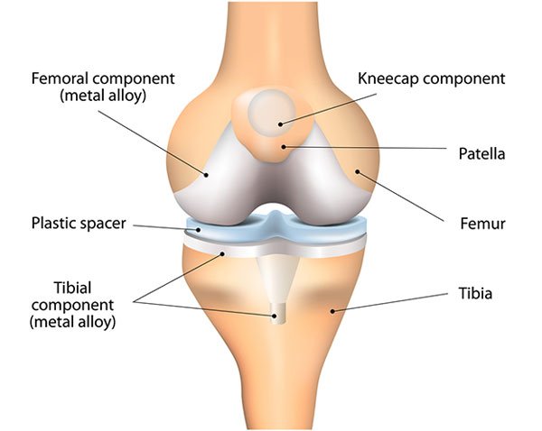 Research Professionals